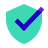 Protection icon